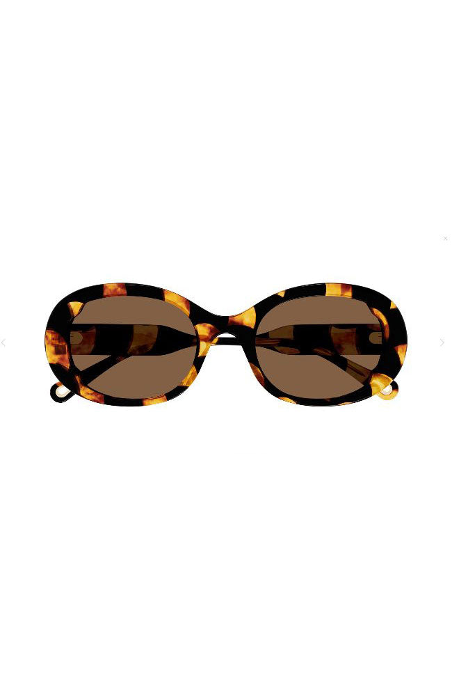 Chloe Sunglasses Butterfly Havana