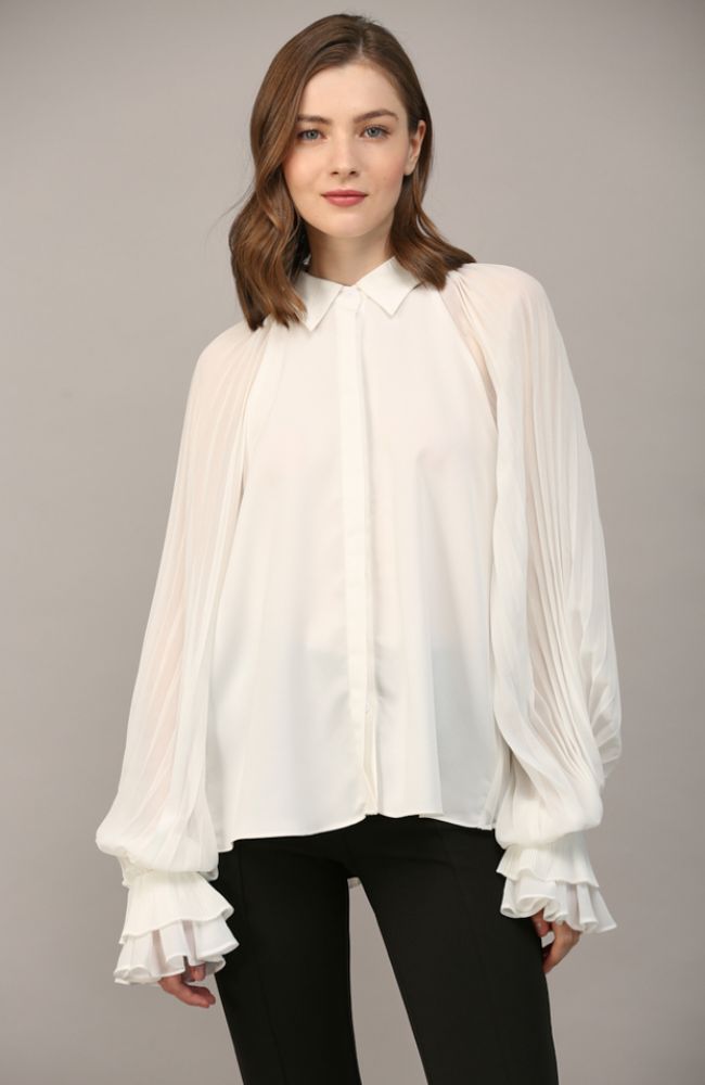 Voluminous Pleated Sleeve Blouse