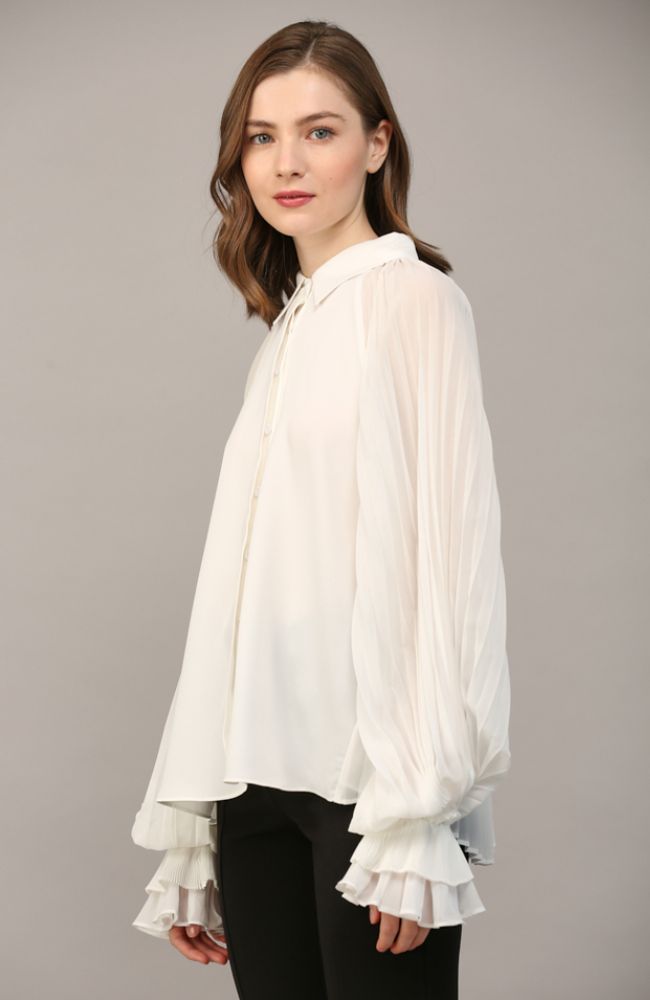 Voluminous Pleated Sleeve Blouse