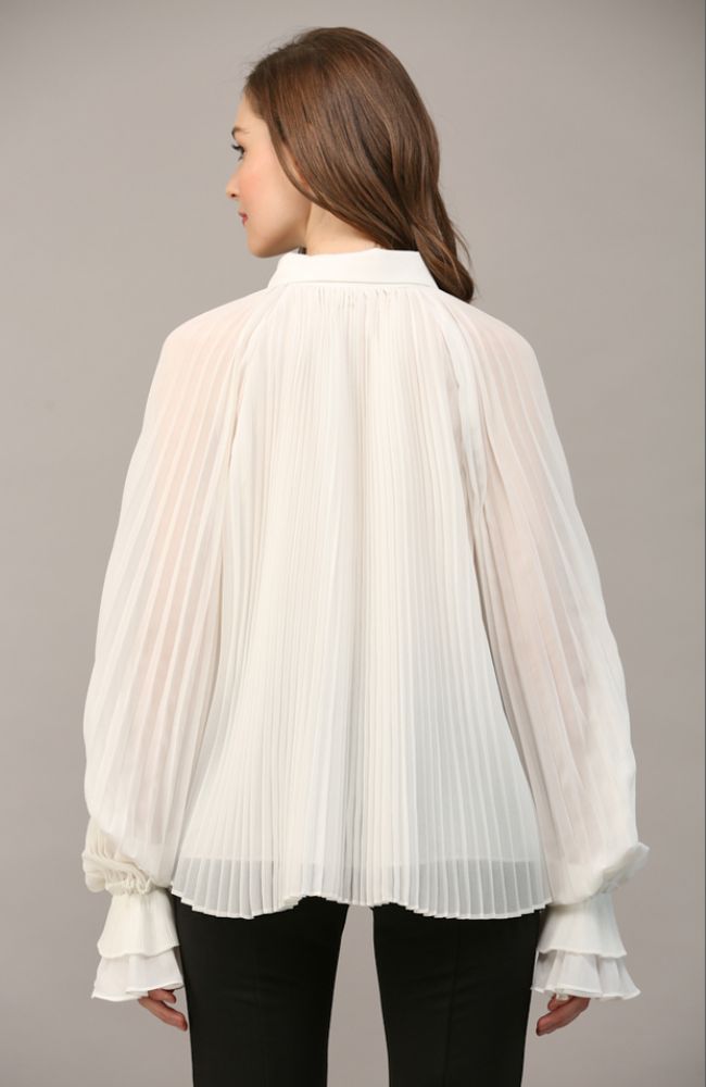 Voluminous Pleated Sleeve Blouse