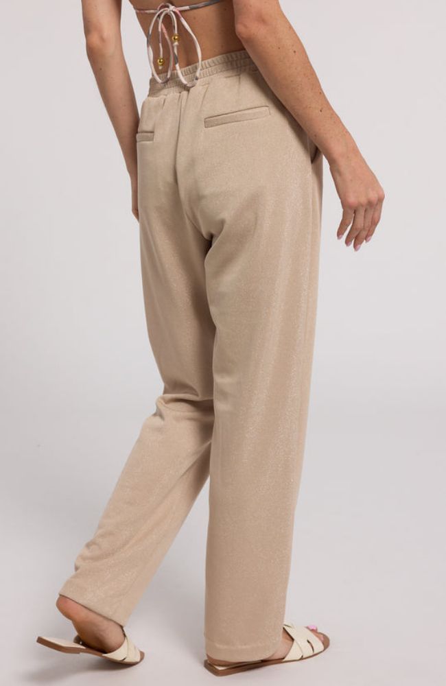 Hollis Shimmer Sweatpants