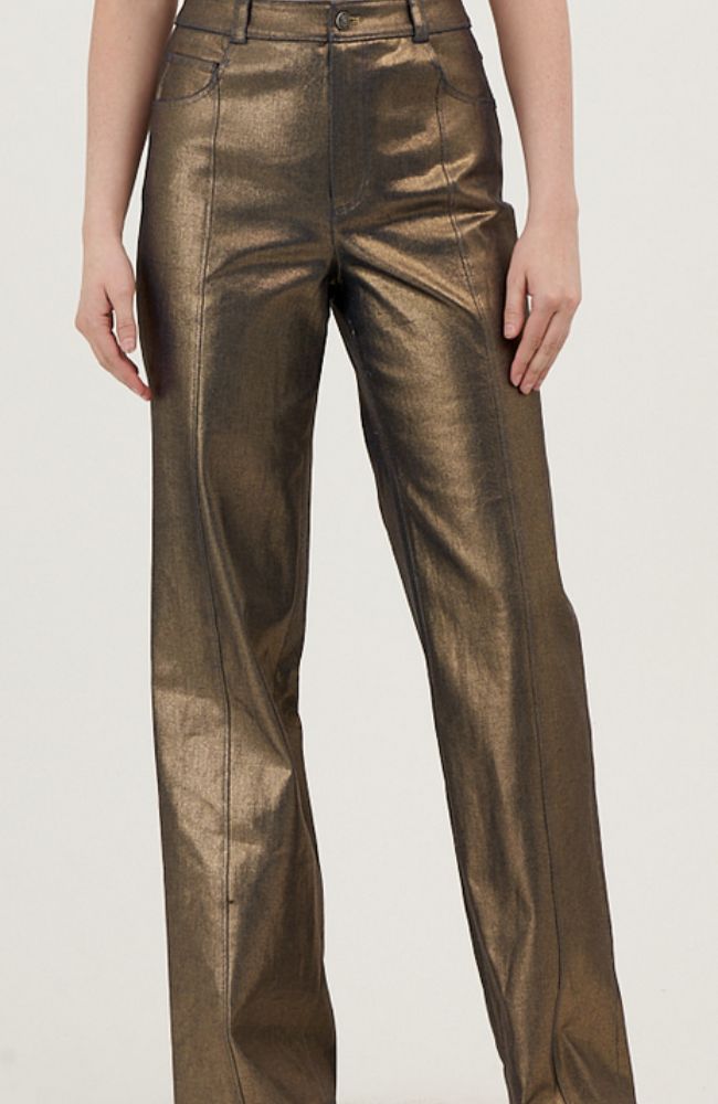 Gold Coated Francine Pant